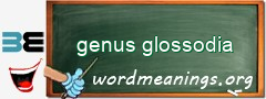 WordMeaning blackboard for genus glossodia